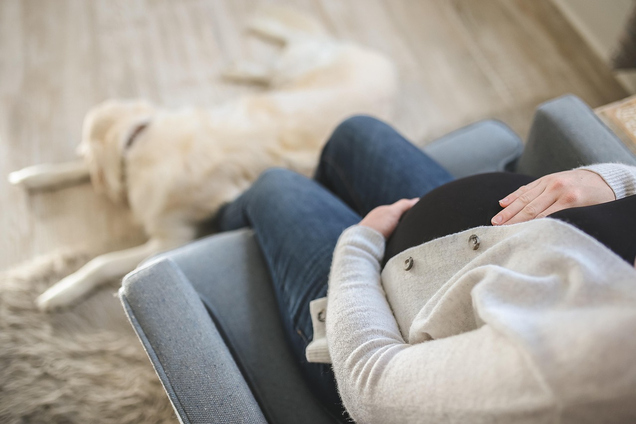 Gravid kvinde i lænestol med golden retriever ved fødderne